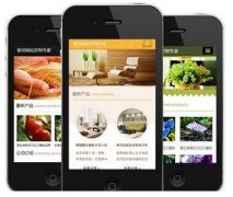 手機(jī)網(wǎng)站怎樣做才更有效果？如何做優(yōu)化？