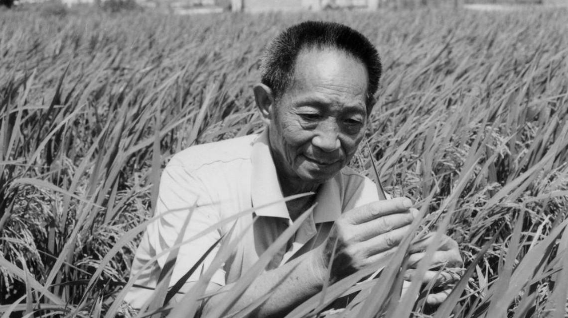 沉痛哀悼！袁隆平院士逝世